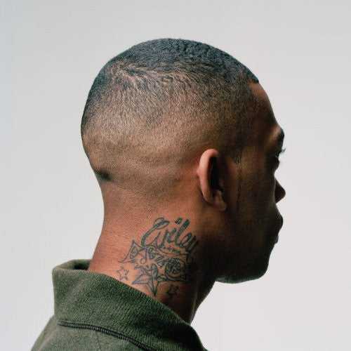 Wiley: 100% Publishing - VINYL