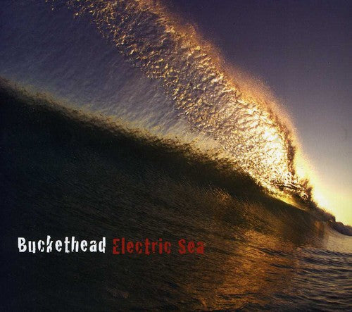 Buckethead: Electric Sea - COMPACT DISCS