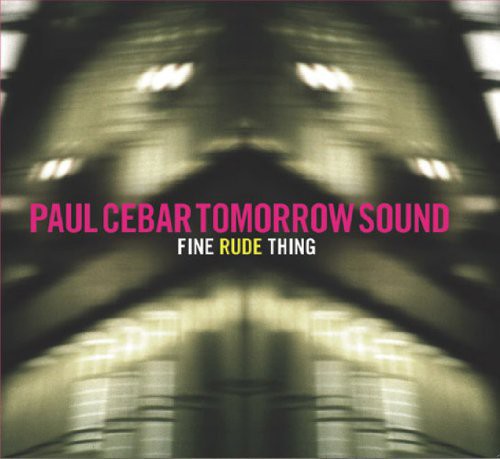 Paul Cebar: Fine Rude Thing - VINYL