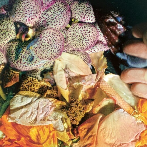 Soela: Genuine Silk - VINYL