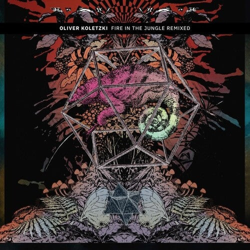 Oliver Koletzki: Fire in the Jungle Remixed - VINYL