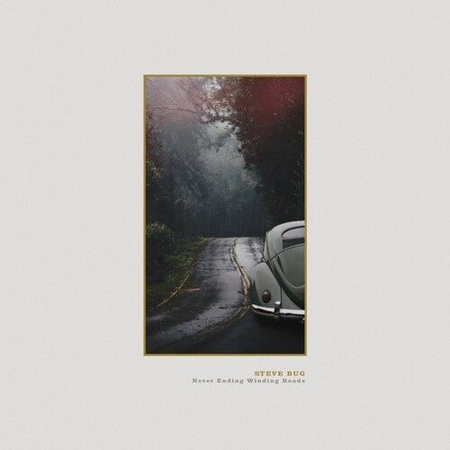 Steve Bug: Never Ending Winding Roads - VINYL
