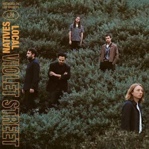 Local Natives: Violet Street - VINYL