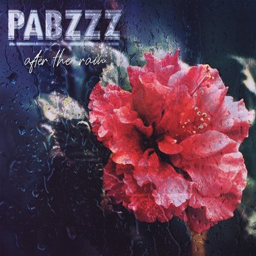 Pabzzz: After The Rain - VINYL