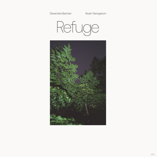 Devendra Banhart: Refuge - VINYL