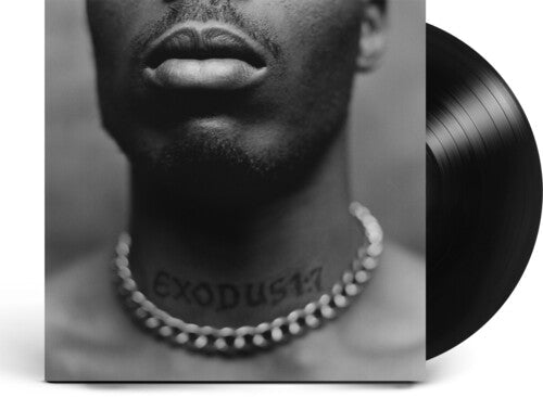 DMX: Exodus - VINYL