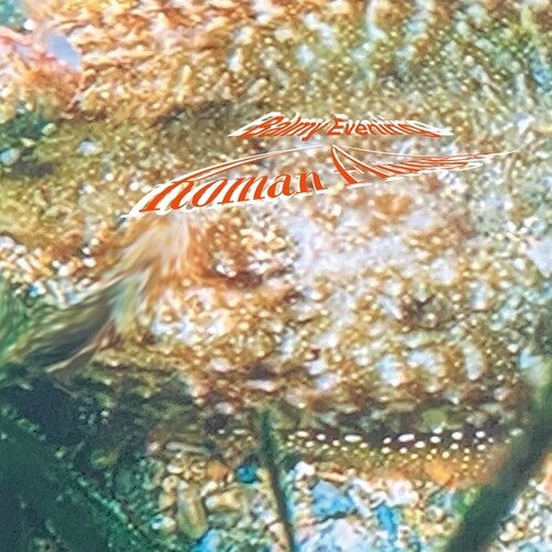 Roman Flugel: Balmy Evening - VINYL