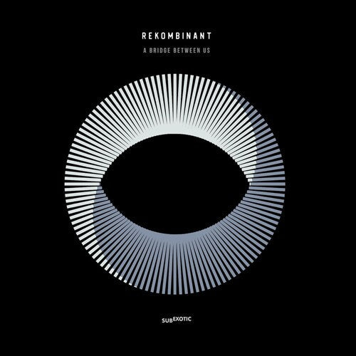 Rekombinant: A Bridge Between Us - VINYL
