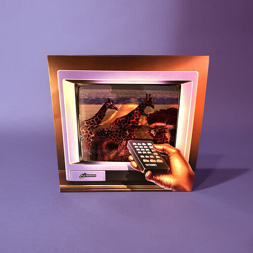 Fly Anakin: Skinemaxxx - VINYL