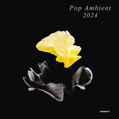 Various Artists: Pop Ambient 2024 - VINYL