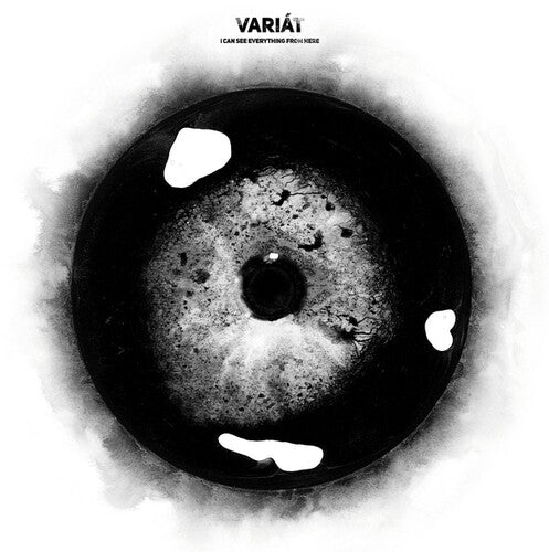 Variat: I Can See Everything From Here - VINYL