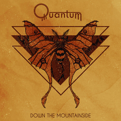 Quantum: Down The Mountainside - COMPACT DISCS
