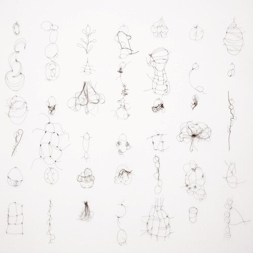 Maria Reich: Interdependenzen - COMPACT DISCS