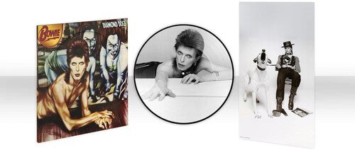 David Bowie: Diamond Dogs (50th Anniversary Picture Disc) - VINYL