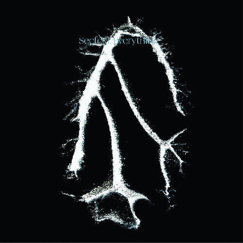 Seefeel: Everything Squared - COMPACT DISCS