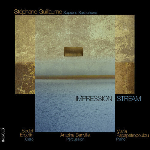 Stephane Guillaume: Impression Stream - COMPACT DISCS