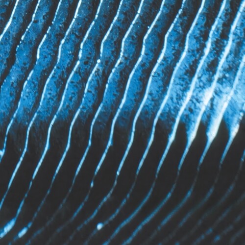 Monolake: Gravity - VINYL