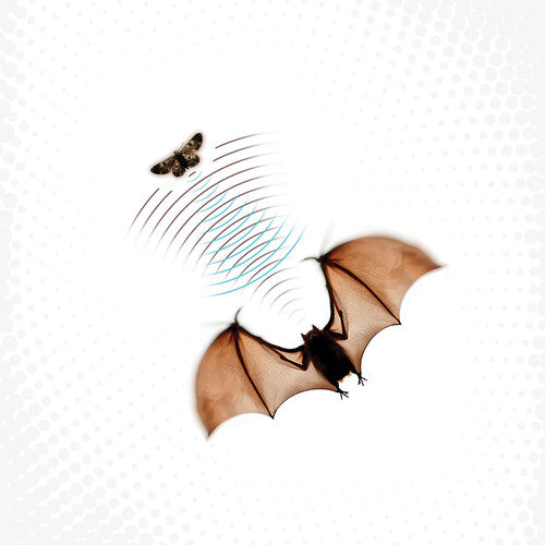 Batsauce: Echolocation - Gray - VINYL