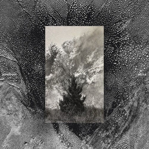 Superpoze: Siecle - VINYL