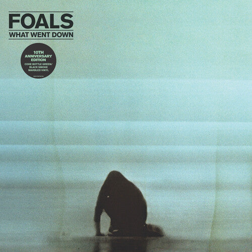 Foals: What Went Down - VINYL