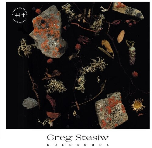 Greg Stasiw: Guesswork - VINYL