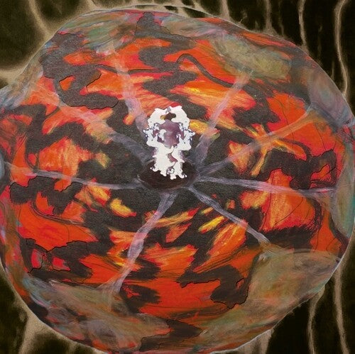 Spectacle of Light Abductions 2: Music For The Paintings Of Vedran Kopljar - VINYL