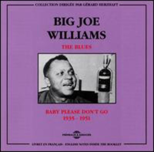 Big Joe Williams: Blues - COMPACT DISCS