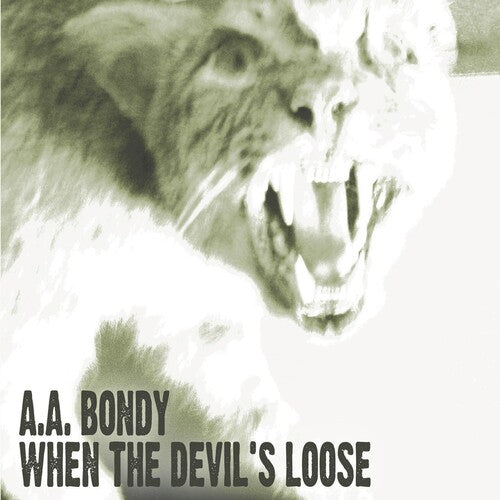 A.A. Bondy: When the Devil's Loose - VINYL
