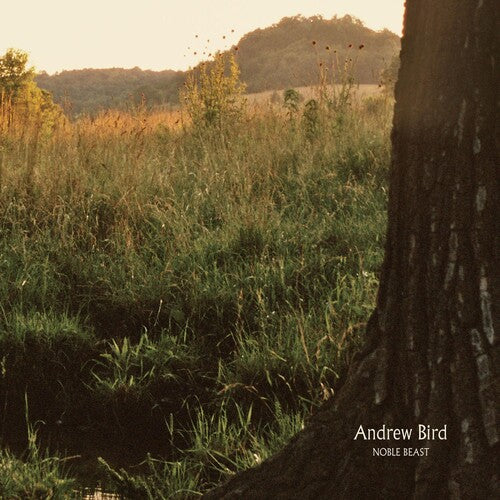 Andrew Bird: Noble Beast - VINYL