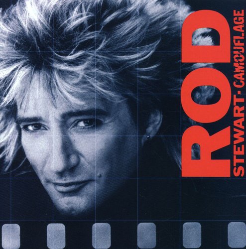Rod Stewart: Camouflage - COMPACT DISCS