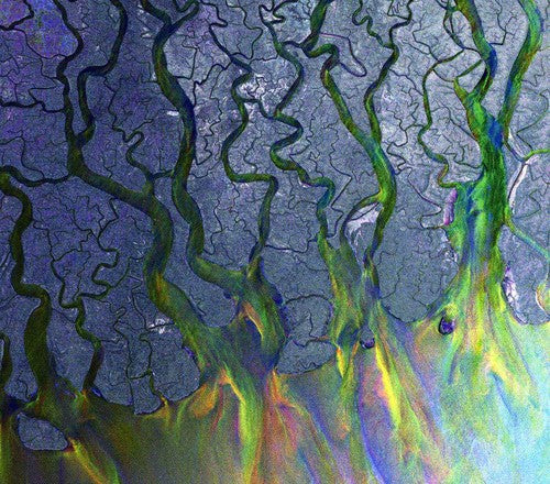 Alt-J: An Awesome Wave - COMPACT DISCS