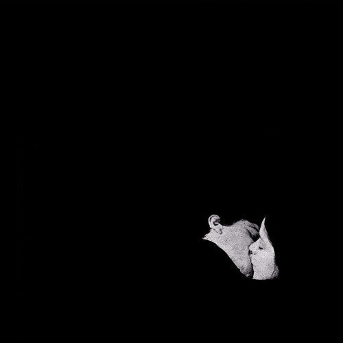 Bob Moses: Days Gone By - VINYL