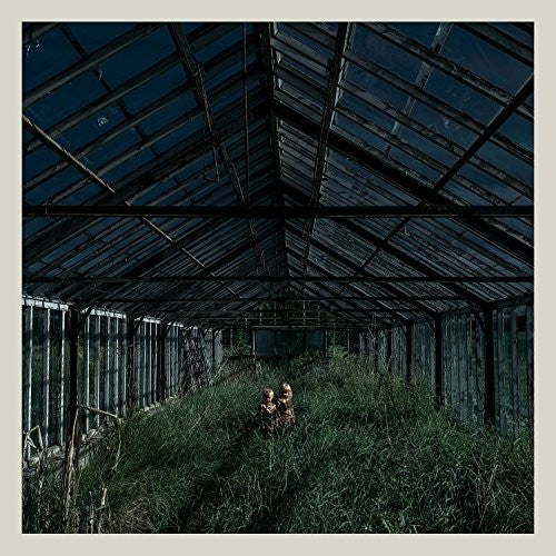 Foxing: Dealer - VINYL