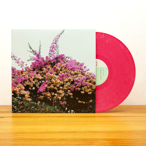 Jay Som: Turn Into - VINYL