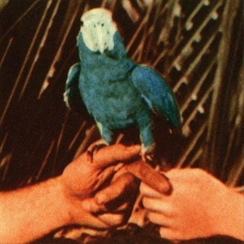 Andrew Bird: Are You Serious - COMPACT DISCS