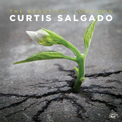Curtis Salgado: The Beautiful Lowdown - COMPACT DISCS