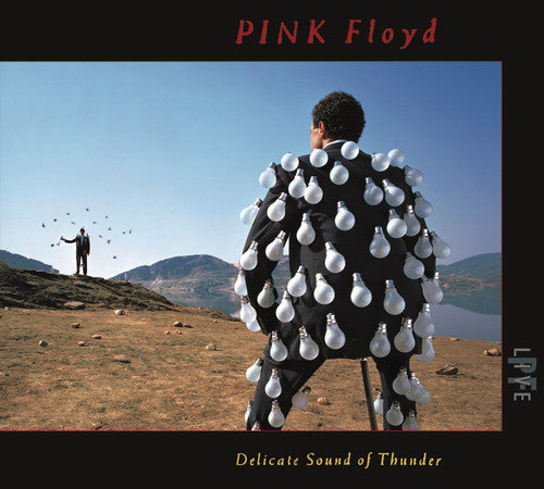 Pink Floyd: Delicate Sound Of Thunder (Live) - COMPACT DISCS