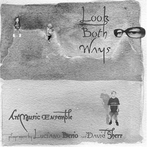 Artmusic Ensemble: Look Both Ways - COMPACT DISCS