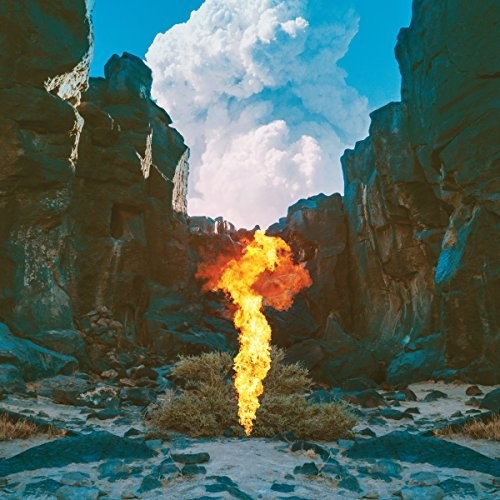 Bonobo: Migration - VINYL