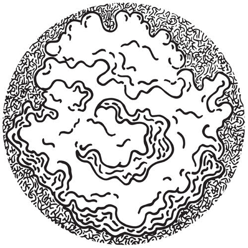 Ostrowski: Primary Fluctuation - 12-INCH SINGLE