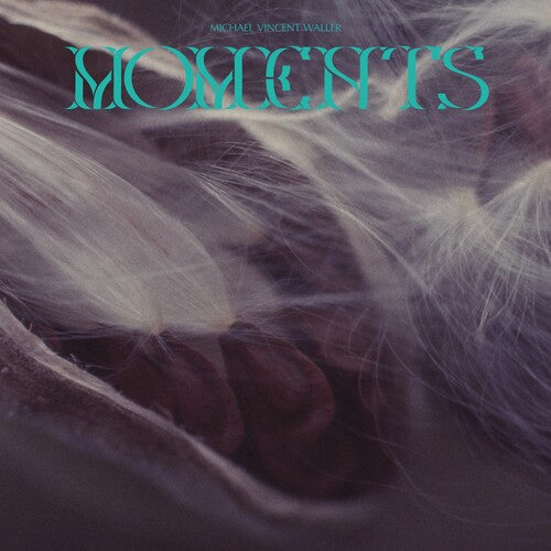 Michael Vincent Waller: Moments - VINYL