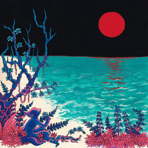 Glass Beach: the first glass beach album - COMPACT DISCS