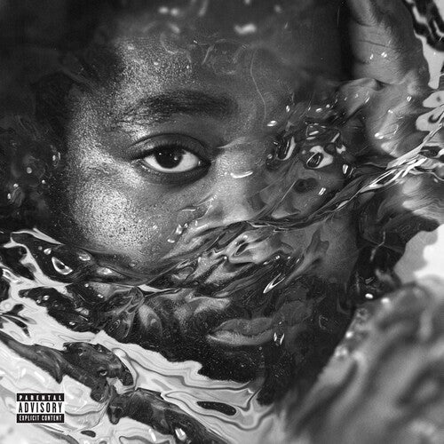 R.LUM.R: Surfacing - VINYL