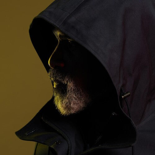 Steve Spacek: Houses - VINYL