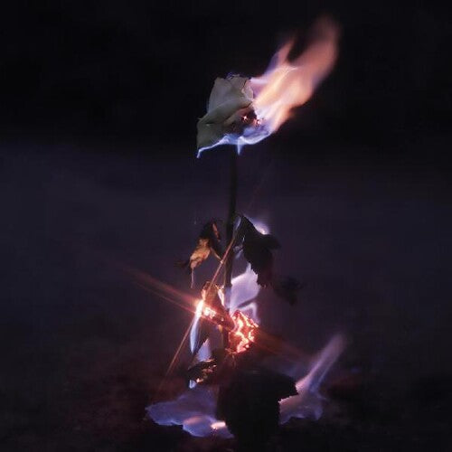 Farwarmth: Momentary Glow - COMPACT DISCS