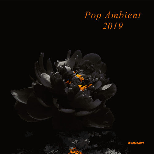 Various Artists: Pop Ambient 2019 (Various Artists) - VINYL