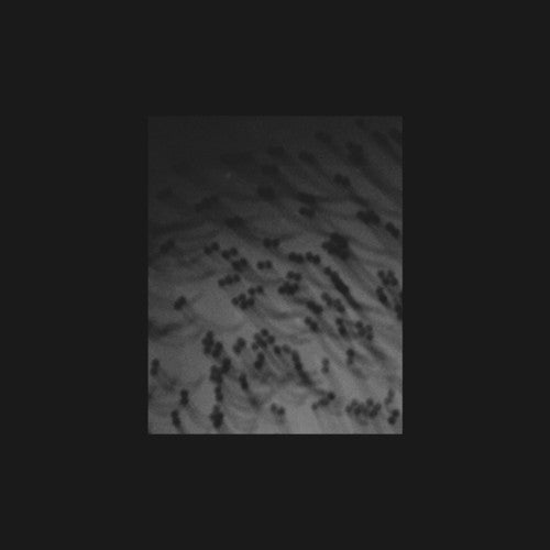 Merzbow: Monoakuma - COMPACT DISCS