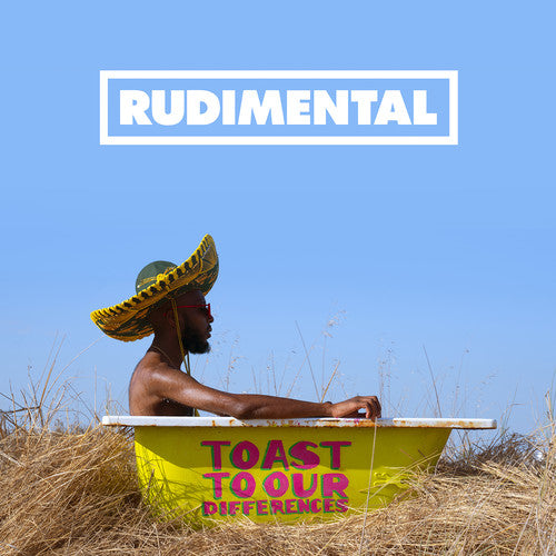 Rudimental: Toast To Our Differences - VINYL