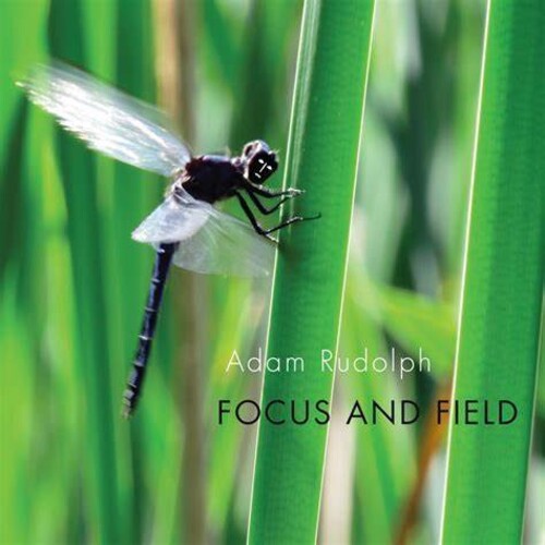 Rudolph: Focus & Field - COMPACT DISCS