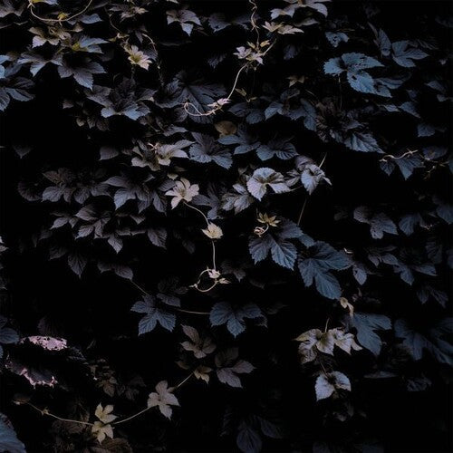 Michael Vallera: Vivid Flu - VINYL